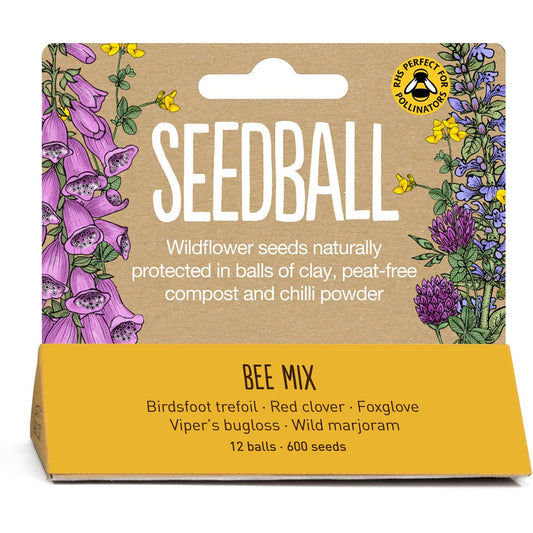 Seed Bomb Gift Tin - Plant Bee Friendly Wildflowers - Bee Seed Mix - Considered Store - 1