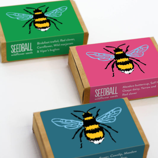 Bee Wildflower Seed Mix - Seed Bomb Gift Boxes - Urban Planters - Considered Store 1