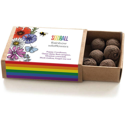 Pride Rainbow Seed Bomb Gift Boxes - Urban Flower Seed Mix - Considered Store - 1